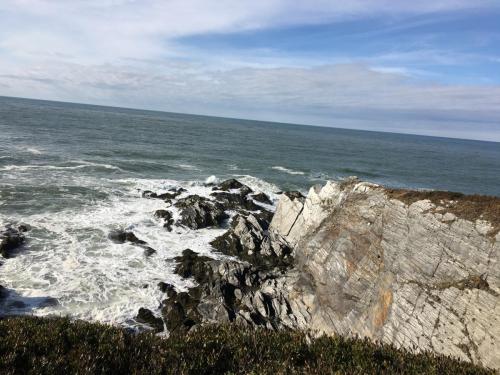Cape cliffs / Les falaises au cap 